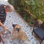 Camera Cu Baie