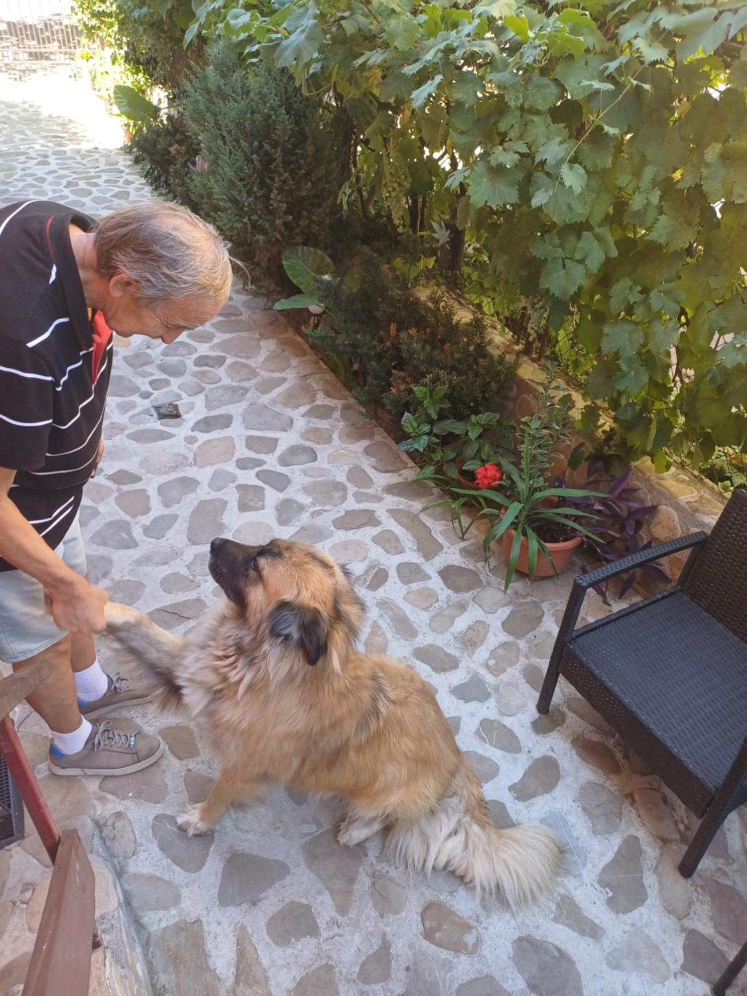 Cu Baie Gasthof *