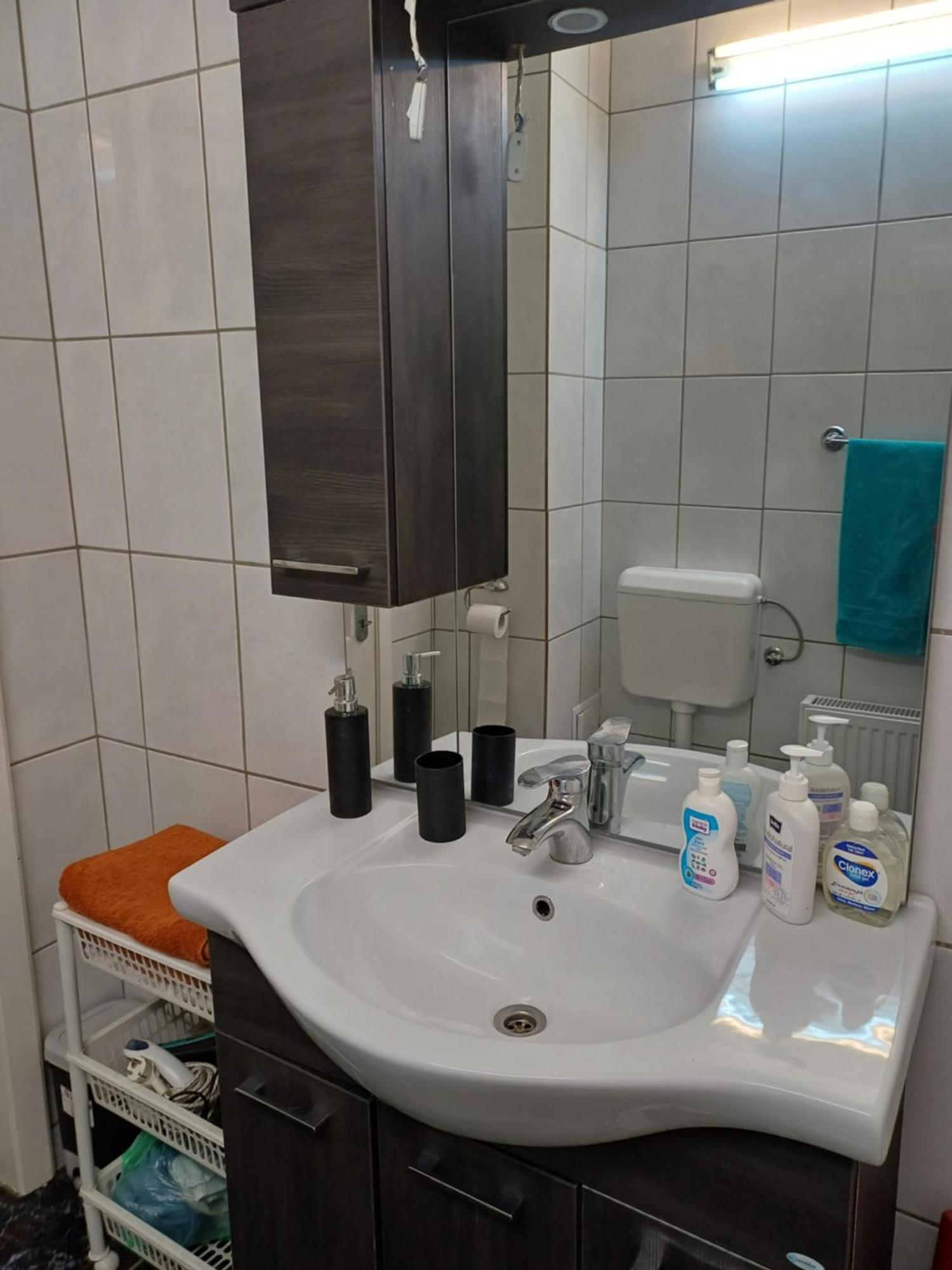 Cu Baie Pensiune Timişoara