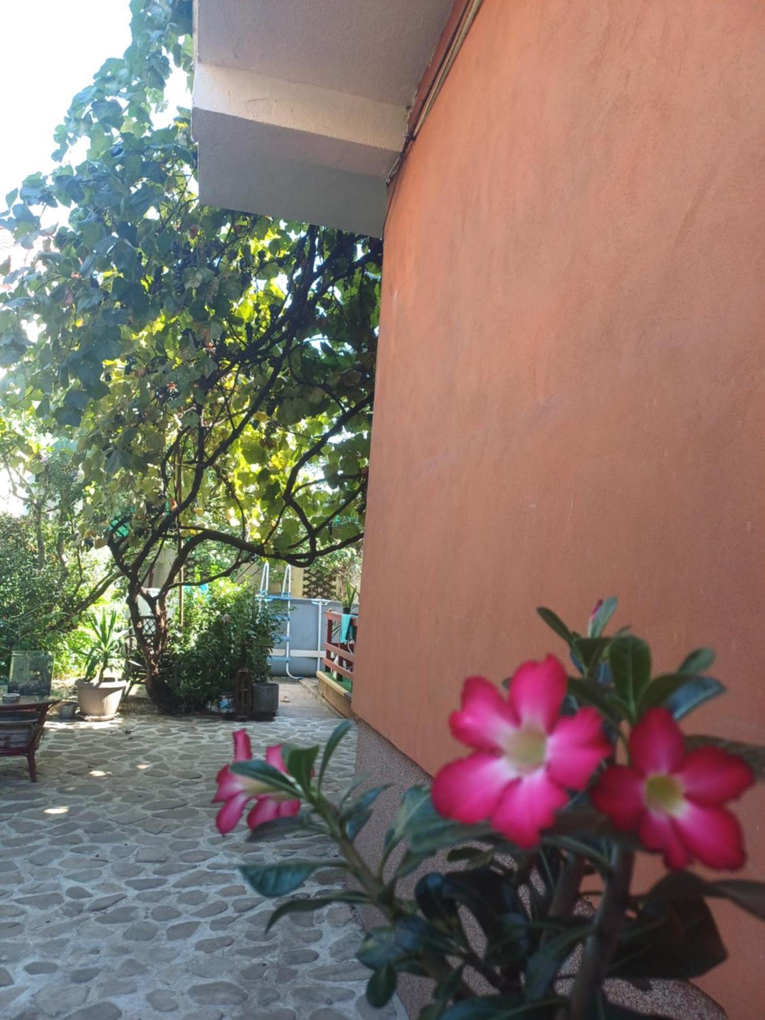 Gasthof Cu Baie